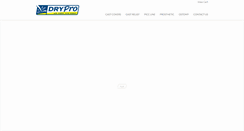 Desktop Screenshot of drycorp.com